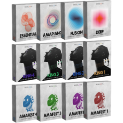 Amapiano Producer Suite